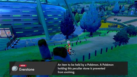 Pokemon Sword & Shield Everstone locations & uses | RPG Site