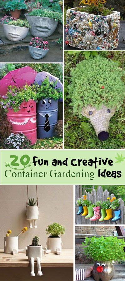 20 Fun and Creative Container Gardening Ideas 2023