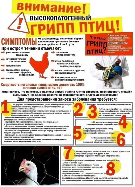 Careful ! Bird Flu. Prevention of Bird Flu Bird flu is an acute ...