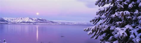 Unique Ways to Explore Tahoe in the Winter | Tahoe Luxury Properties