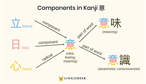 Kanji Radicals: The Cornerstone of Kanji Mastery - LingoDeer