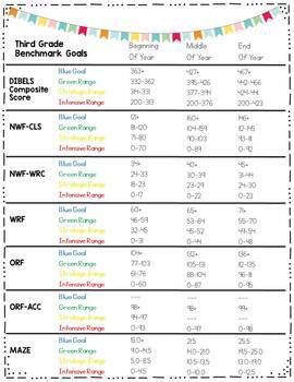 DIBELS Benchmark Goals (8th Edition and NEXT) by The Reading Bungalow