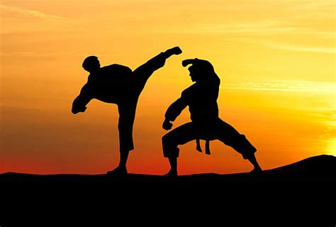 17,400+ Taekwondo Sparring Stock Photos, Pictures & Royalty-Free Images ...