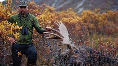 A Guide to Hunting Moose | MeatEater Hunting