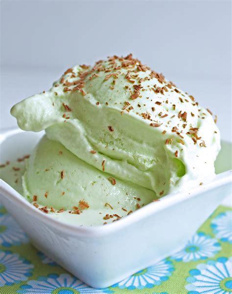 Sugar Free Mint Ice Cream | I Breathe I'm Hungry