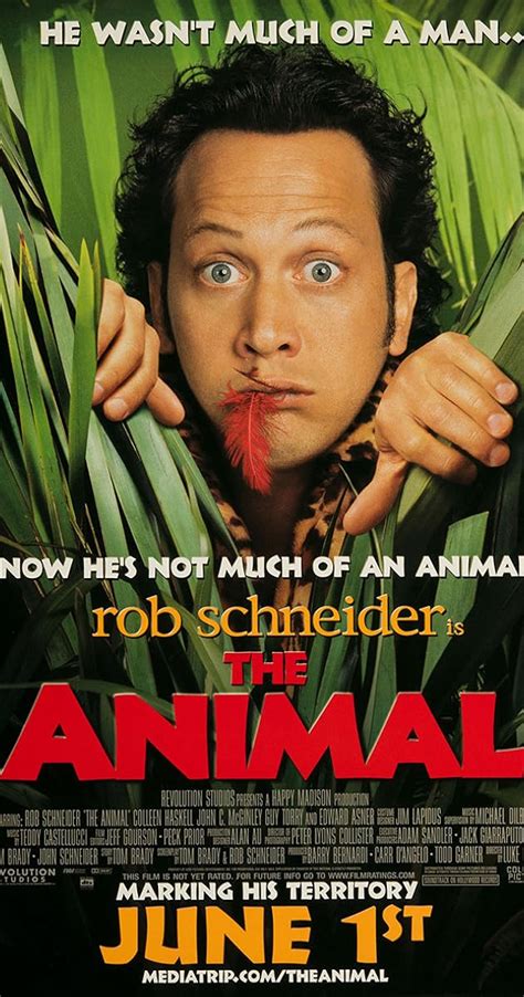 The Animal (2001) - Norm MacDonald as Mob Member - IMDb