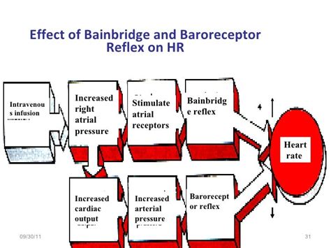 regulation of cardiac out put