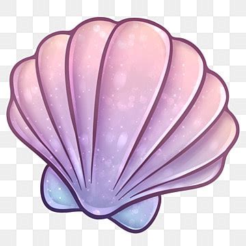 Shell Clipart Png