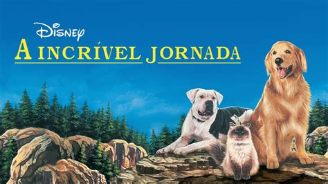 Assistir a A Incrível Jornada | Filme completo | Disney+