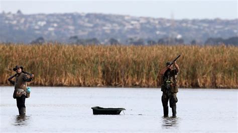 Duck hunting seen as natural part of human existence | The Weekly Times