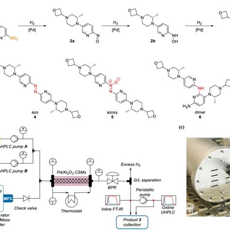 Structure of Fenebrutinib and Scheme Showing the Nitro Reduction of... | Download Scientific Diagram