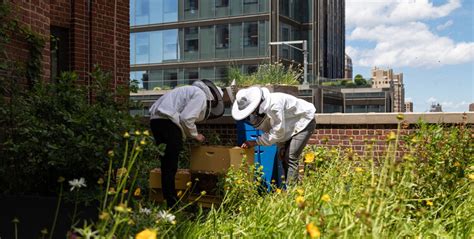 Biodiversity in Urban Environments | ArchDaily