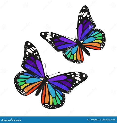 Set of Two Rainbow Butterflies Isolated on a White Background. Vector Graphics Stock ...