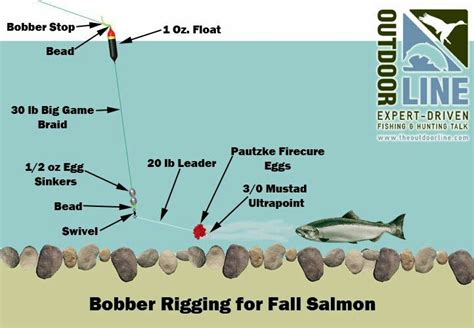 Bobber Rigging For Fall Salmon | Salmon fishing, Fishing tips, Trout fishing tips