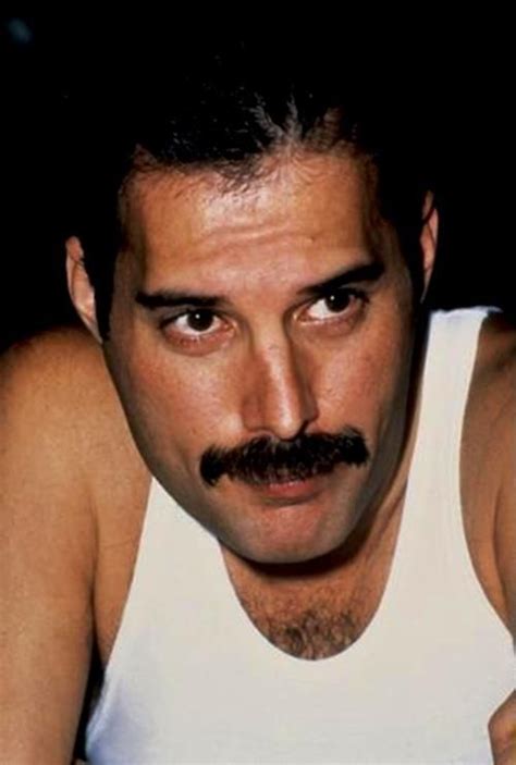 Pin by Monika R on Freddie Mercury - love of my life | Queen freddie ...