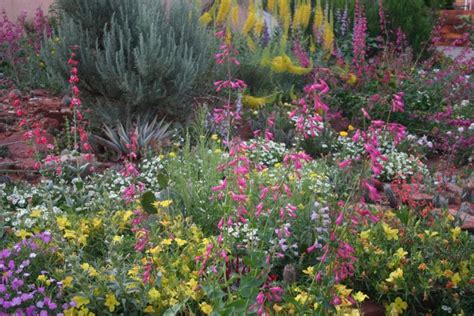 How To Start Gardening High Country - Colorado Springs Real EstateColorado Springs Real Estate