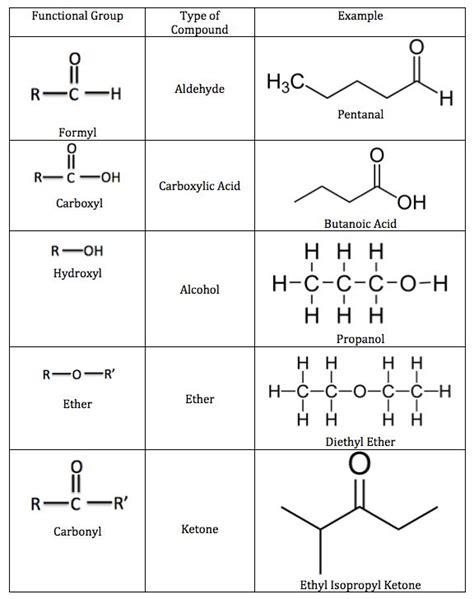 Structural Isomers: Definition & Examples | Study.com | Functional group, Definitions, Biochemistry