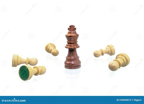 Wood Chess Pieces Isolated on a White Background. Stock Image - Image of chess, board: 249689873