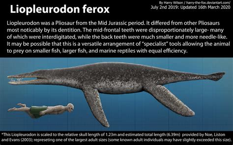 Liopleurodon Size by Harry-the-Fox on DeviantArt