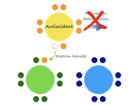 What are antioxidants? And are they truly good for us?