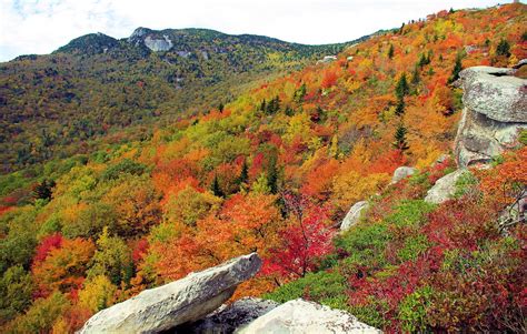 Asheville NC Fall Foliage Color Leaf Report 2015 | Nc mountains, Fall colors, North carolina ...