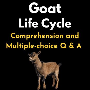 Goat Life Cycle : Reading Comprehension and Multiple-choice Q & A Test