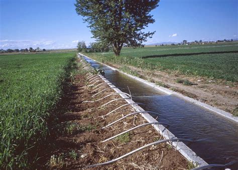 Irrigation for Dummies : Pictorial View - Types of Irrigation Systems