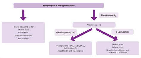 British Journal of Nursing - The pathophysiology, assessment, and management of acute pain