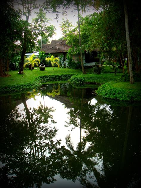 Beautiful Home Gardens In Kerala - Beautiful Insanity