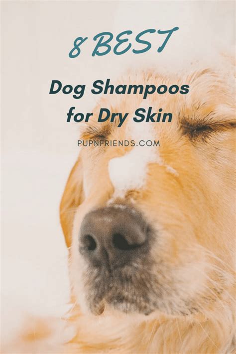 8 Best Dog Shampoo for Dry Skin | Dog Shampoo for Itchy Skin