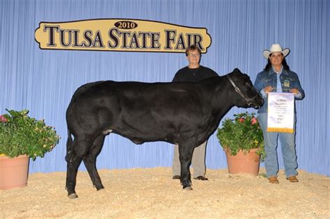 American Belgian Blue Breeders, Inc. - Belgian Blue Photo Gallery | breeds-cattle | Belgian blue ...