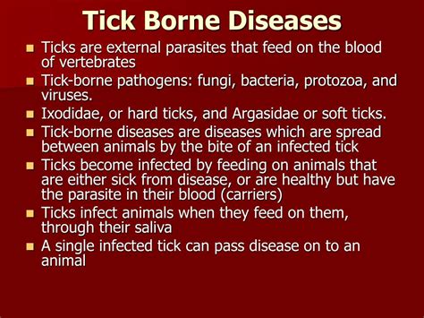 PPT - Tick Borne Diseases PowerPoint Presentation, free download - ID:365733