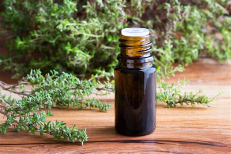 10 Benefits and Uses of Thyme Oil | Nikura