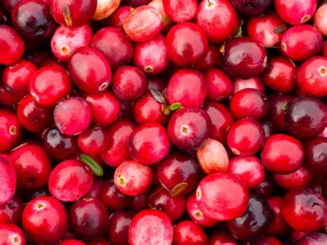 50 Unbelievable Benefits of Cranberry You Must Know - 2024