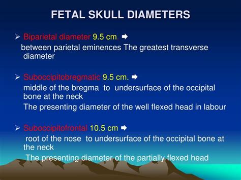 PPT - ANATOMY OF THE FEMALE BONY PELVIS and FETAL SKULL PowerPoint Presentation - ID:5535988