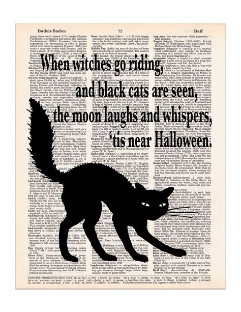 The Black Cat Poem