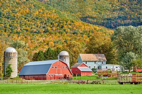 Vermont Cheese Trail: #1 Best Way to Explore Local Farms