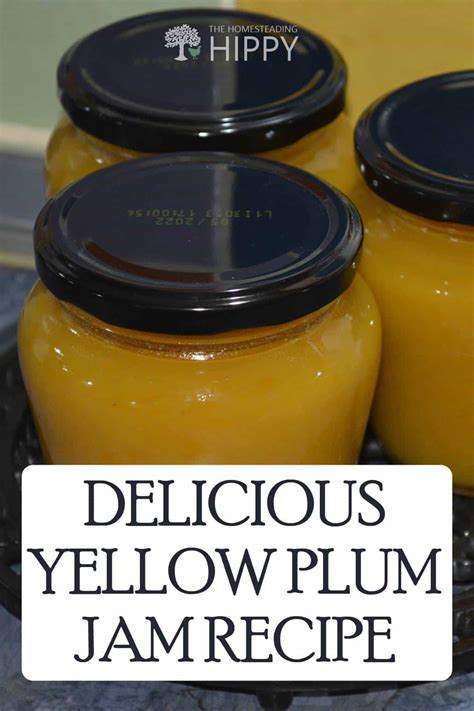 Delicious Yellow Plum Jam Recipe