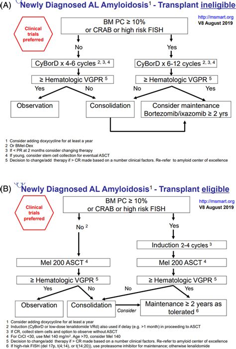 mSMART.org guidelines for treatment of newly diagnosed AL amyloidosis ...