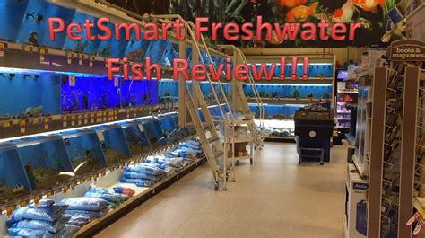 PetSmart Freshwater Fish Review - Pet Site - How to care for your pet