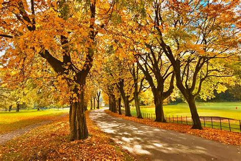 UK autumn season weather guide: Where to go in 2024/2025