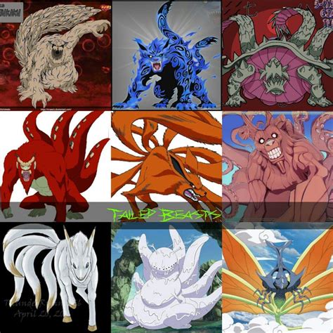 How many tailed beasts are there - lindashow