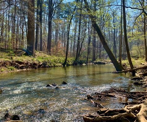 Hiking Trails and Nature Preserves that are open right now to explore - Best of the Bull