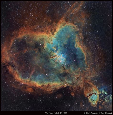 The Heart Nebula | Nebula, Galaxy pictures, Space pictures