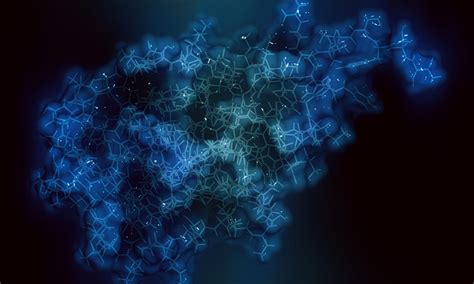 BMS research reveals atomic structure of protein receptor CD47