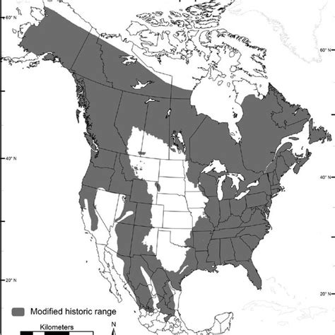 (PDF) Geographic distribution of American black bears in North America