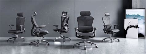 Best SIHOO Ergonomic Office Chair Sale Online