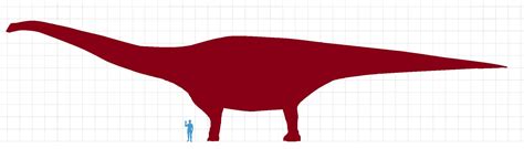 Patagotitan mayorum vs human size comparison - Our Planet