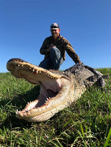 Professional Florida Alligator Hunting Guides