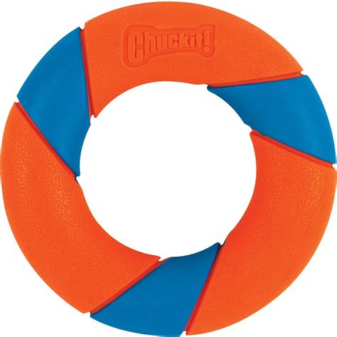 Chuckit! Ultra Ring Fetch Dog Toy - Chewy.com